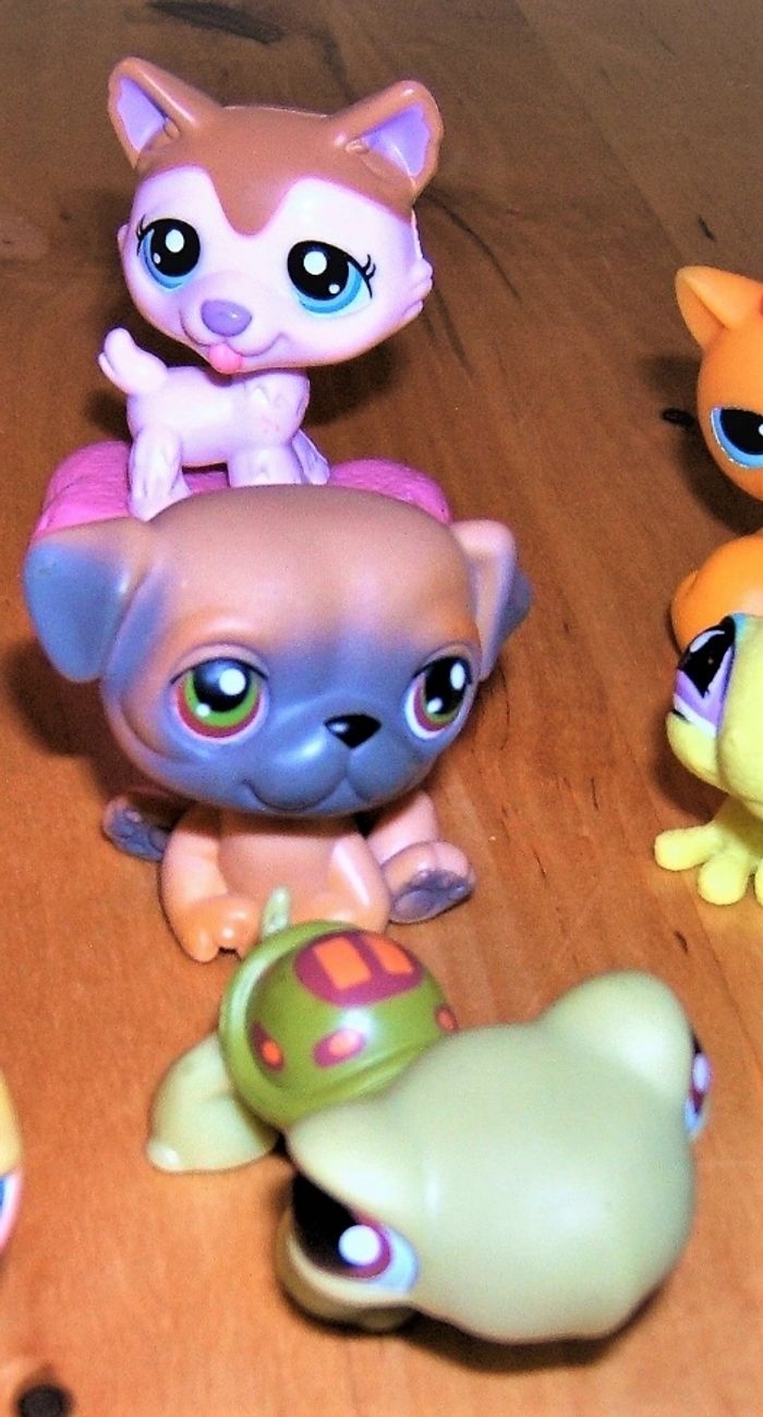 Pets Shop - photo numéro 2