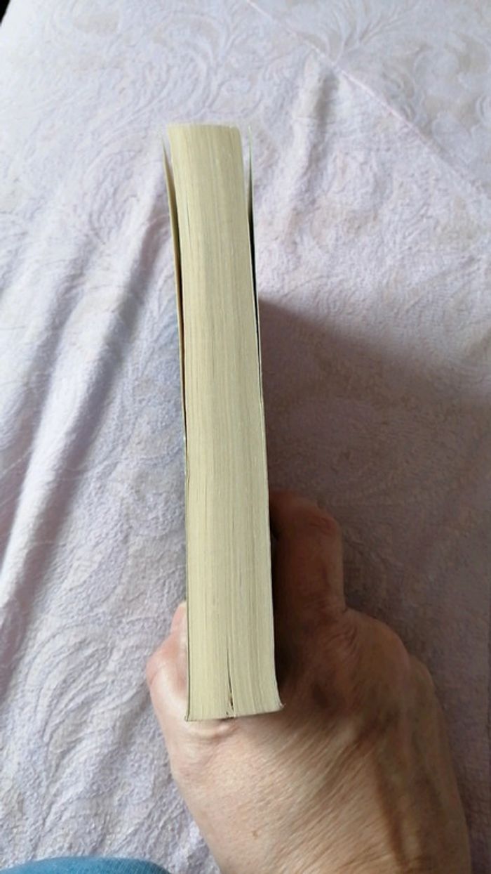 L inconnue de la crique - photo numéro 4