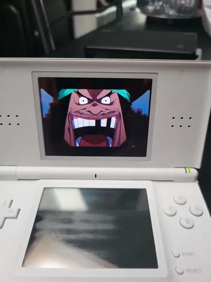 Nintendo DS Lite. - photo numéro 6