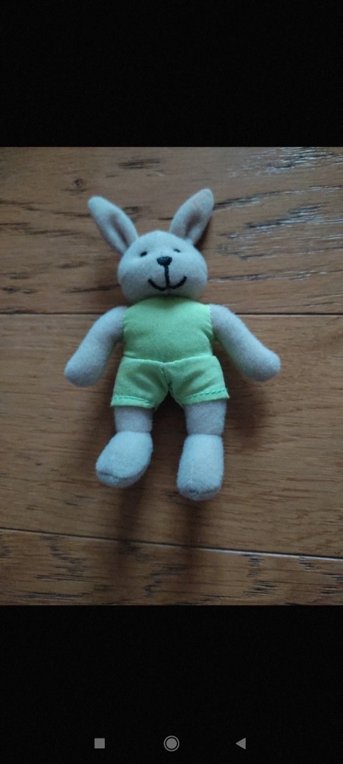 Mini lapin