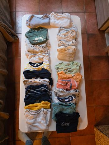 Lot tee shirt et bodies 24 mois