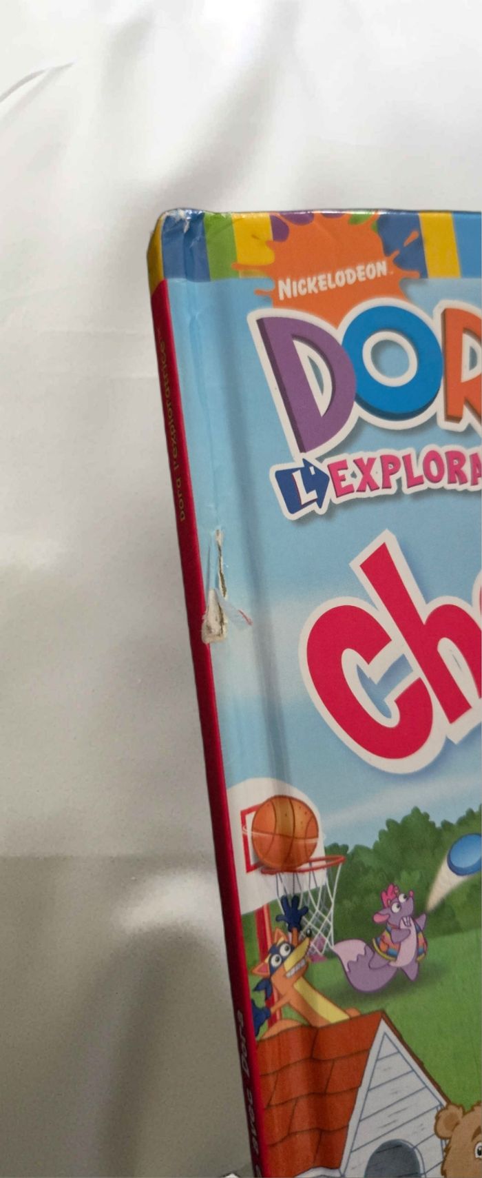 Livre Dora l’exploratrice – Cherche et trouve avec Dora - photo numéro 3