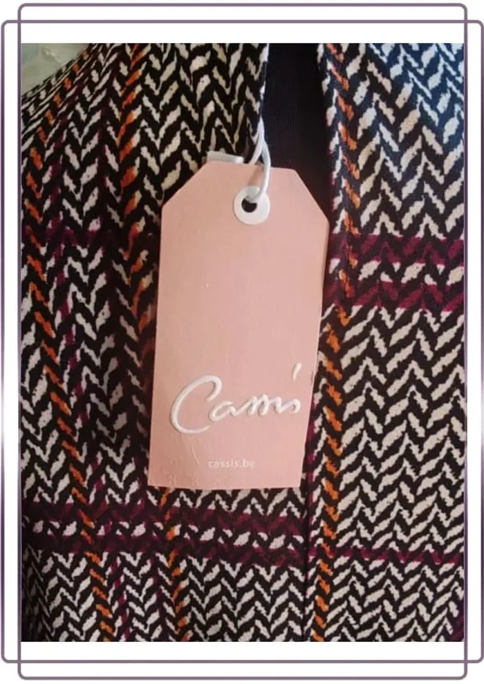 Robe cams - photo numéro 7