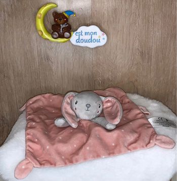 NIC20 Doudou lapin 🐰simba