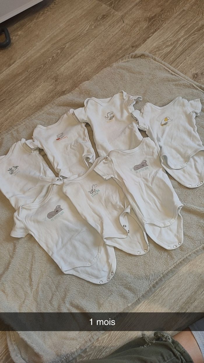 Bodddy manches courtes