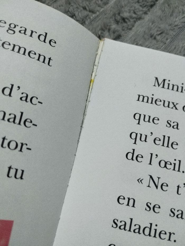 Livre Mini Loup veut devenir grand - photo numéro 8