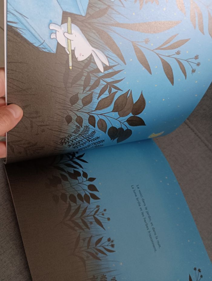 Livre école des loisirs c'est la nuit - photo numéro 2