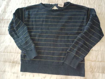 Magnifique pull 5 ans fille