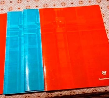Lot de 5 Cahiers 24*32 96 pages petits carreaux