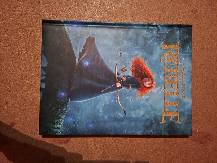 Livre Disney Rebelle