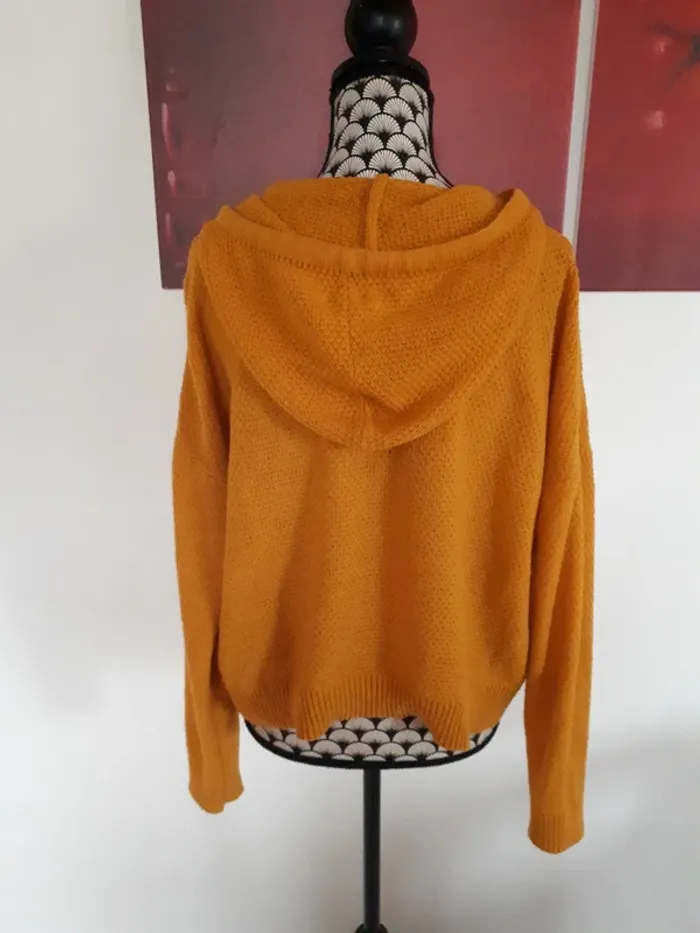 Joli pull a capuche taille M - photo numéro 3