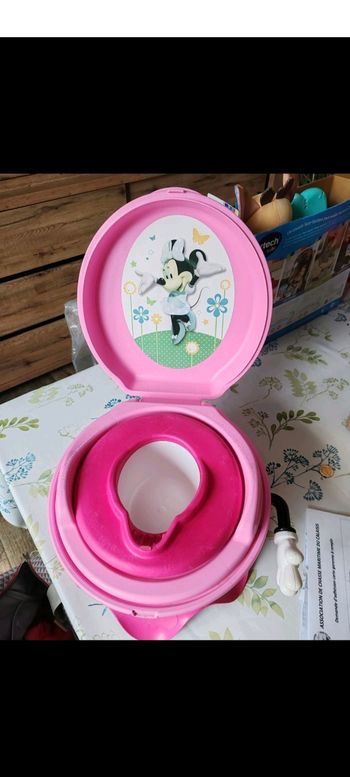 Pot Minnie