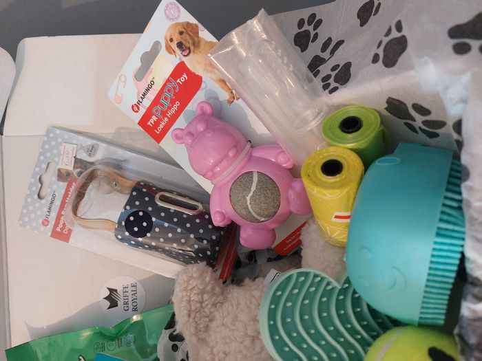 Coffret bienvenue pour chiot ou petit chien - photo numéro 4