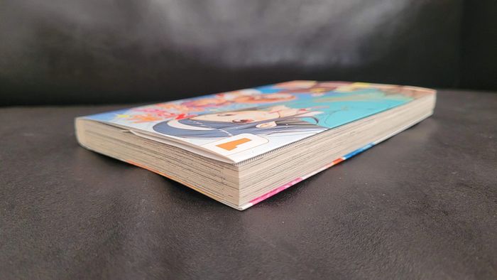 Manga Shonen Harem We Never Learn Kazé - photo numéro 5