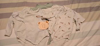 Lot de 5 bodies 6 mois