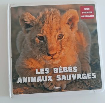 Livre les bébés animaux sauvages
