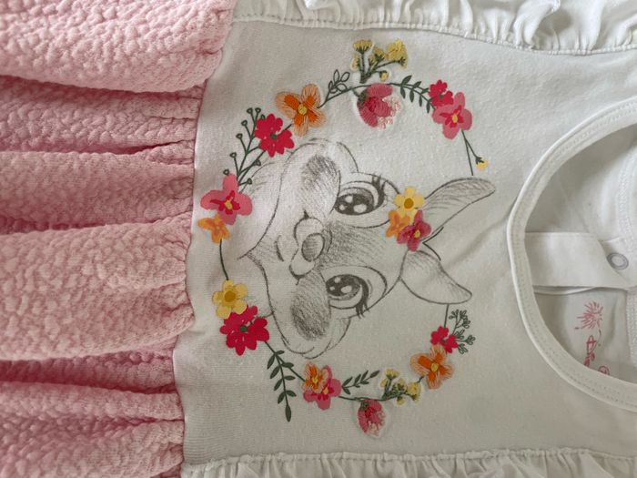 Robe Disney 2 ans - photo numéro 2