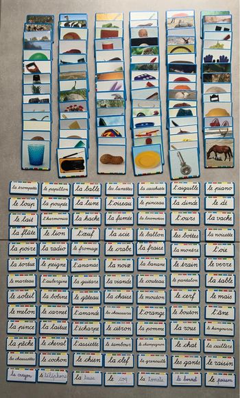 Jeu de lecture 91 cartes images en carton + mots à lire