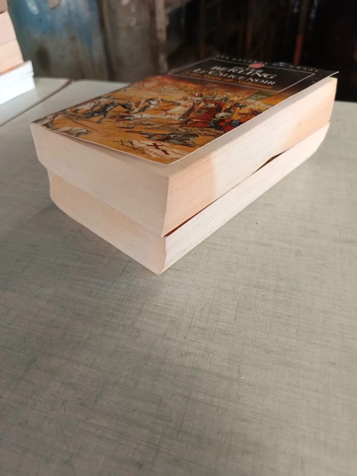 Lot 2 livres le calice noir 1 et 2 - photo numéro 3