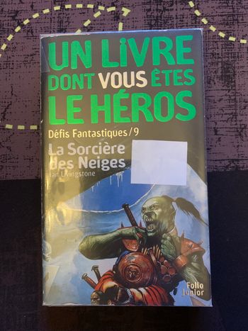 Un livre dont vous êtes le héros 