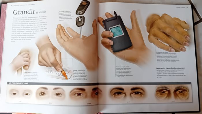 Livre "Le corps Humain" - photo numéro 3