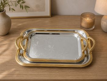Lot de 2 plateaux inox 