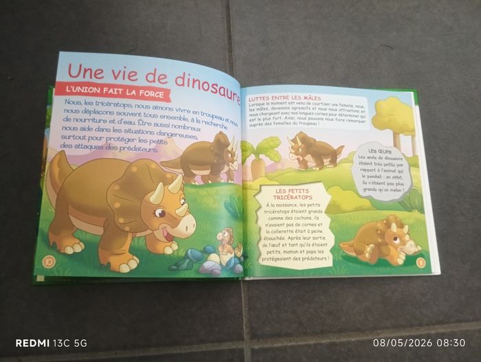 Le tricératops - photo numéro 3