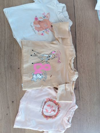 Lot de 3 sweat shirt fille Disney et tape à l'oeil 3 mois 