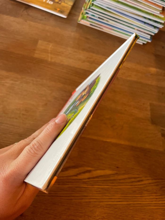 Livre Altaya Le monde des animaux Sauvages Animaux de la savane Le chimpanzé - photo numéro 6