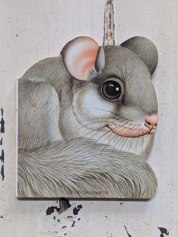 Le loir de la forêt