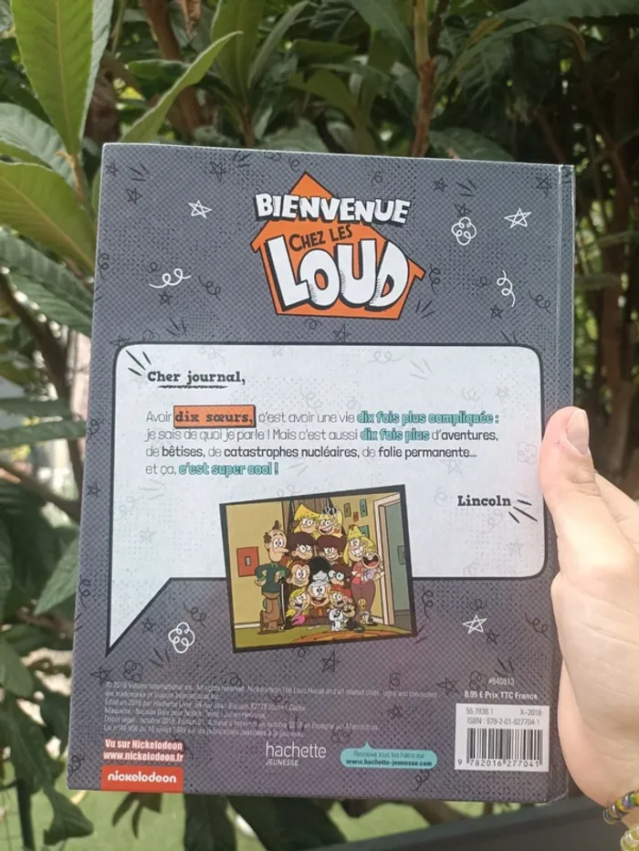 Livre Bienvenue chez les Loud : le journal de Lincoln - photo numéro 4