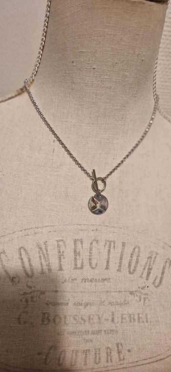 Collier chaîne épaisse cercle tige médaille acier inoxydable argent