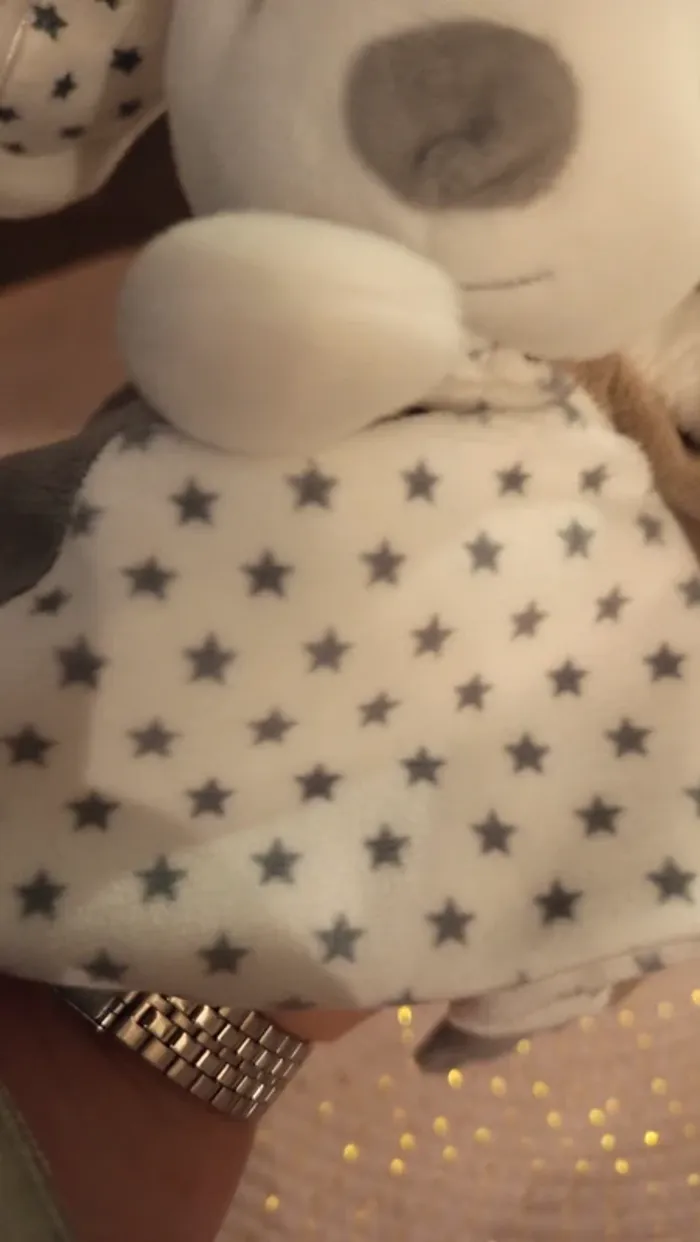 Doudou lapin chien obaibi - photo numéro 4
