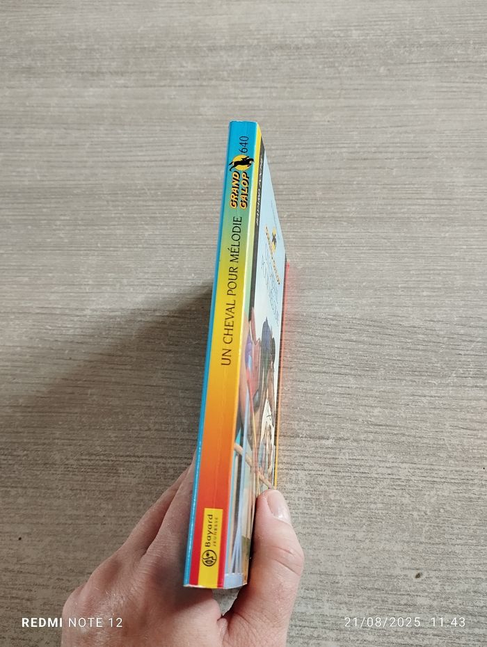 Livre Grand galop - photo numéro 3