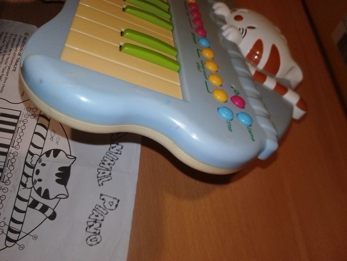 Piano musical chat
Animal - photo numéro 6