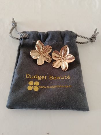 Boucles d'oreilles - NEUF