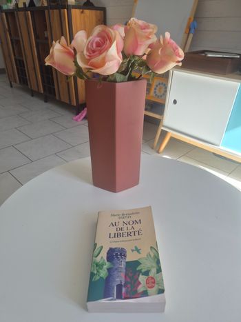 Livre Albane Tome 2 Au nom de la liberté de Marie - Bernadette Dupuy