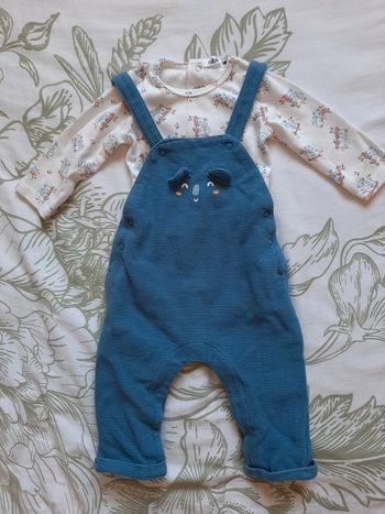 Ensemble koala 9mois