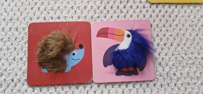 Cartes sensorielles - photo numéro 2