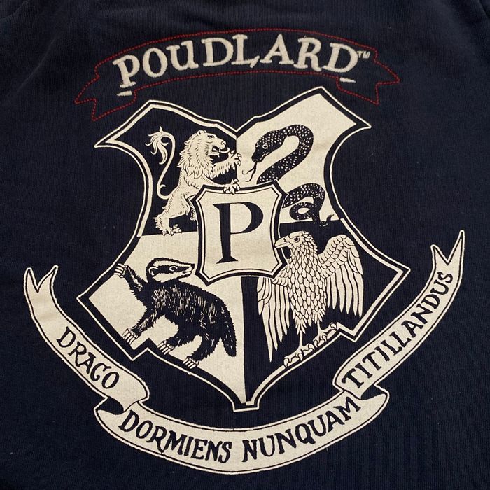 Pull Harry Potter - photo numéro 2
