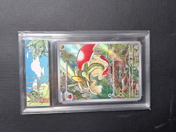 [MT 10 Collect Aura] Pomdrapi 74/64 AR SV7a Paradise Dragona JP