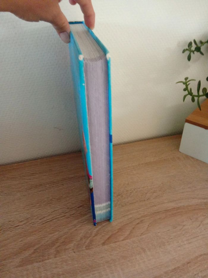 Livre 365 histoires pour le soir. La reine des neiges . Disney - photo numéro 4