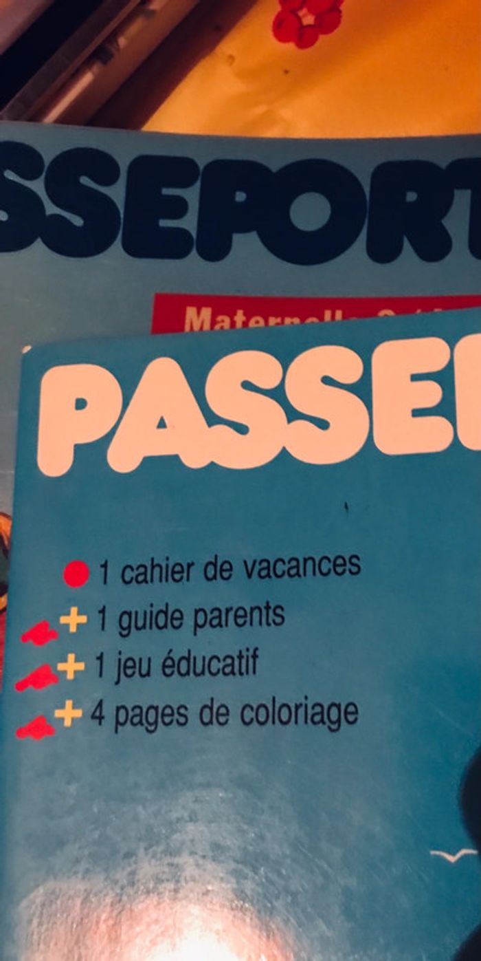 Lot de 3 cahiers «Passeport » - photo numéro 2