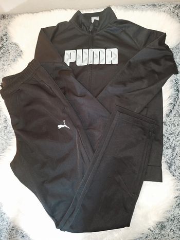 Ensemble Puma