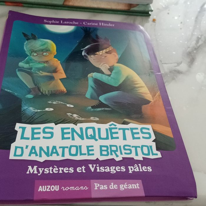 Livre les enquêtes d'Anatole bristol
