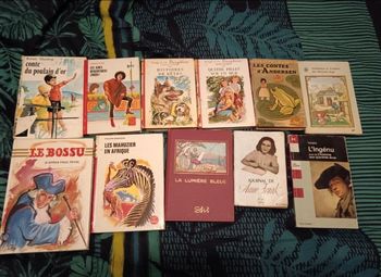 Lot de livres