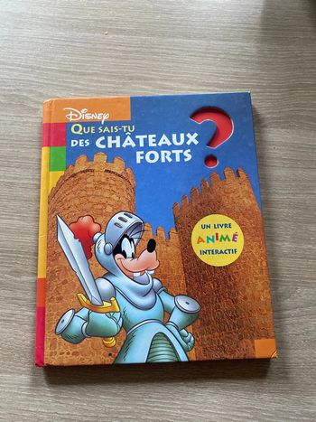 Livre que sais-tu sur les châteaux forts