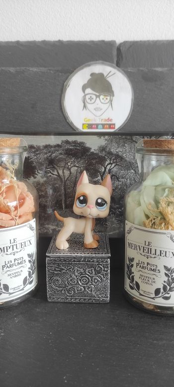 Littlest Petshop Pet Shop LPS Authentic  Authentique dog Great Dane 1643 Danois