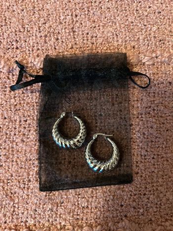 Créoles « Giena » en acier inoxydable