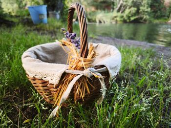 Adorable panier 